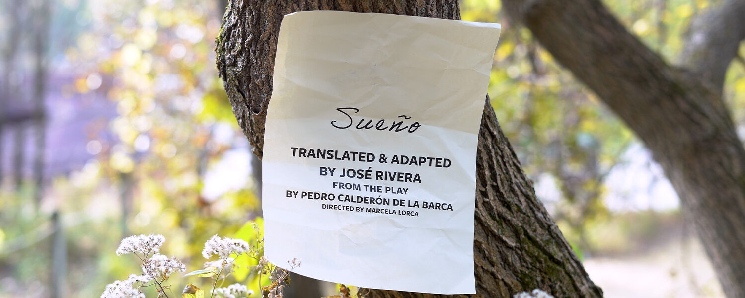 Sueño