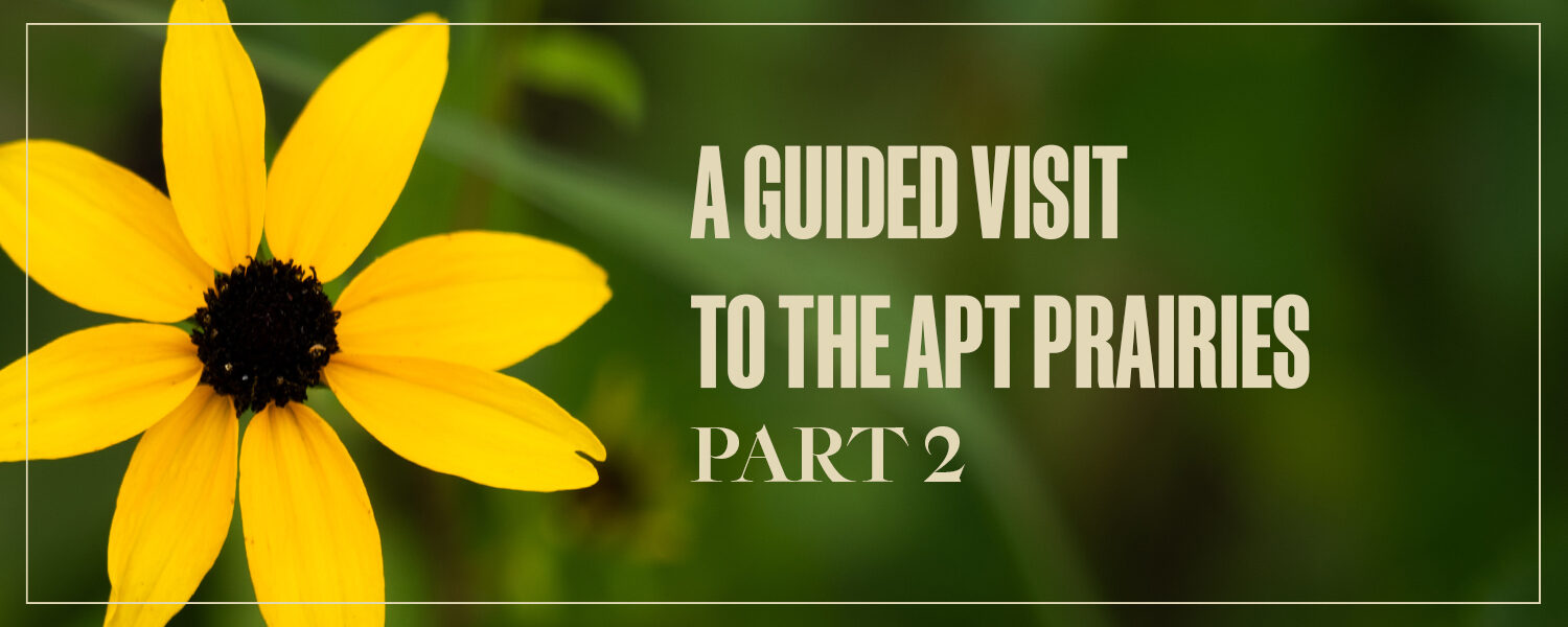 Prairie Guide Part 2