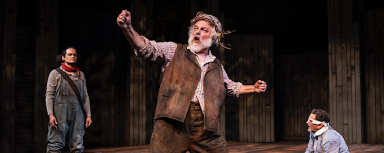 A skillful and unsentimental ‘King Lear’ at American Players Theatre