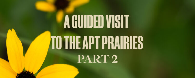 A Guided Visit to the APT Prairies – Part 2